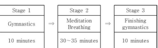 Fig.  1.  meditation  program
