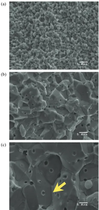 Table 1.  Summary  of  sintering  and  J-E  characteristics  of  ZZMn  sintered  at  800~1,000℃.