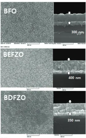 Fig. 2. FE-SEM morphologies of the BFO and the Bi 0.9 A 0.1 