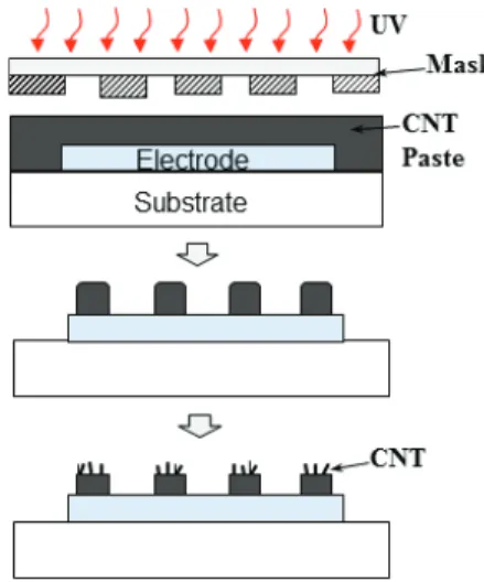Fig. 3. Process sequences for the fabrication of CNT-based detection  electrode: CNT paste printing and exposure and developing, and  surface treatment.