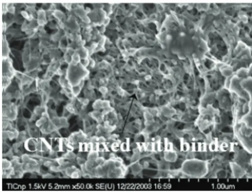 Fig. 5. SEM view of the untreated CNT paste after baking at  450℃  for 10 min.