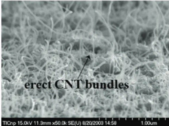 Fig. 8. SEM view of the CNT paste after the surface treatment  by adhesive taping method.