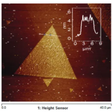 Fig. 4. Single crystals located between Mo contacts. Dashed lines  are  guides to identify MoS 2 crystal.
