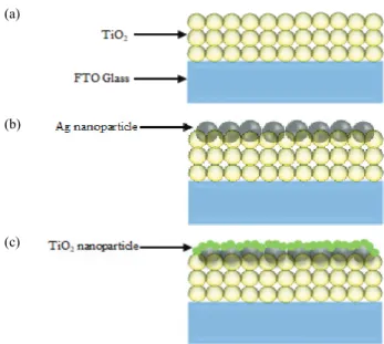 Fig. 1. Scheme images of (a) TiO 2  coated on FTO, (b) silver  coated on TiO 2  electrode, and (c) TTIP treated on silver  nanoparticles.