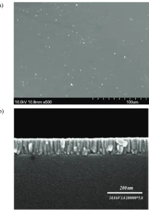 Fig. 1. FESEM surface and cross-sectional images of C：Ni  thin films deposited at the conditions of 5 W/cm 2  Ni target  power density.