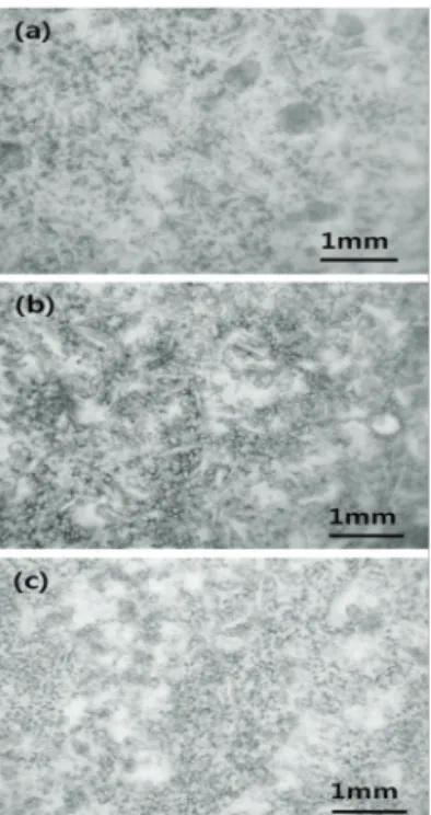 Fig. 3. Surface roughness analysis of the anti glare glass obtained  by (a) doctor blade coating and (b) screen printing with sodium  silicate glass.