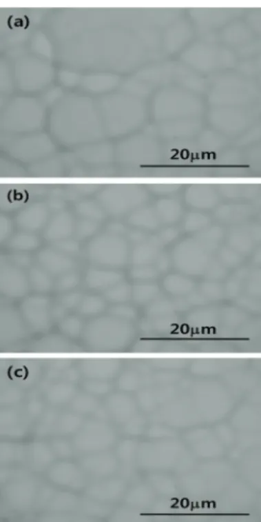 Fig. 4. Optical microscope images of 2nd solution etched surface  after screen printing by (a) 100 mesh, (b) 150 mesh, and (c) 200  mesh with sodium silicate glass.
