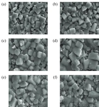 Fig. 2. The SEM (scanning electron microscopy) of specimens  with BNKZ substitution. (a) x=0, (b) x=0.01, (c) x=0.02, (d)  x=0.03, (e) x=0.04, and (f) x=0.05.