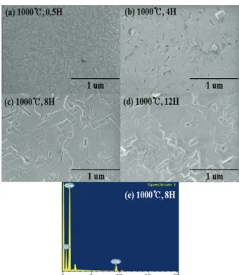 Fig. 2. FE-SEM image of the oxidation of FS-GaN for 8 hour at  (a) 900℃  and (b) 1,000℃