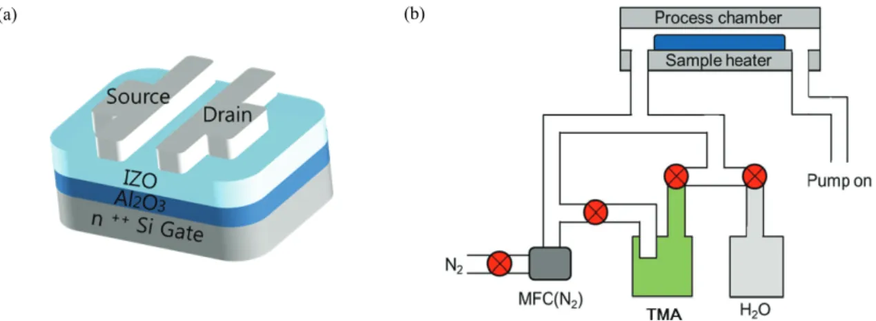 Fig. 1. FE-SEM image of the oxidation of FS-GaN for 8 hour at (a) 900℃  and (b) 1,000℃