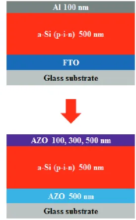 Fig. 1. Schematic illustration of silicon thin film solar cells  with conventional aluminum electrode and transparent AZO  electrode.