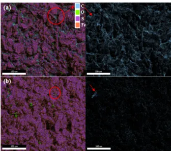 Fig. 8. EDS image mapping of FeS 2  thin film cathodes. (a)  without heat treatment and (b) with heat treatment at 230℃