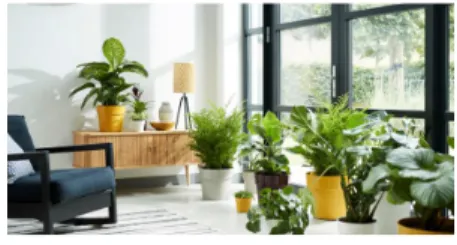 Fig.  1.  Home  gardening