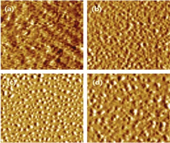 Fig. 5. AFM images of the nanomesa coverages on the active  layer surface (10    x 10   ); (a) 0%, (b) 0.1 wt%, (c)  0.2 wt%, and (d) 0.3 wt%.