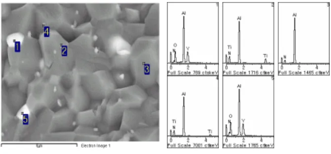 Fig.  2.  Microsturcture  of  fractured  1  wt%  Y 2 O 3 -doped  AlN  specimen  with    additional  TiO 2   content  of  1  wt%  and  its  EDS  analysis
