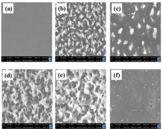 Fig.  6.  The  FE-SEM  images  as  function  of  gas  mixture  ratio. 