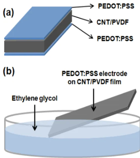 Fig.  1.  Schematic  diagrams  of  (a)  sample  structure  and  (b)  EG  dipping  process
