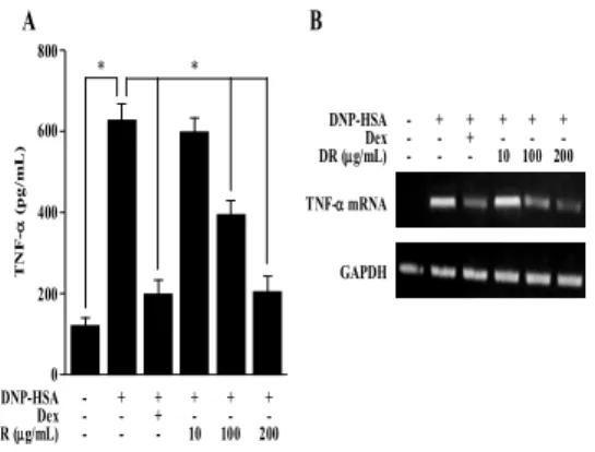 Fig. 6. Effects of DR on clinical symptom of ear swelling. 