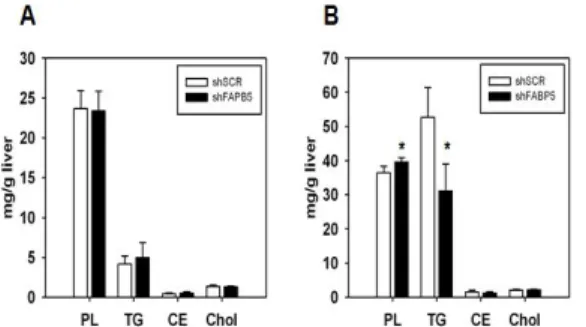 Fig.  5.  C57BL/6J  mice  were  injected  with  1x10 11 viral  particles  of  a  helper-dependent  adenovirus  expressing  a  scrambled  shRNA  sequence(shSCR,  white bars) or a shRNA to mouse FABP5(shFABP5,  black  bars).