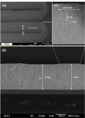 Fig.  5.  Image  of  the  fabricated  cantilever  energy  harvester  using  the  IDT  electrode  pattern  embedded  in  the  multi-layered  piezoelectric  thick  films  co-fired  at  1,100℃  for  1  h