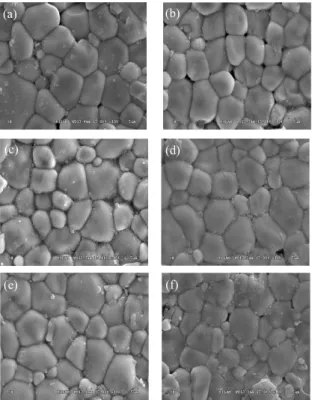 Fig.  2.  The  SEM  micrographs  of  specimens  as  a  function  of  X  content  :  (a)  0.47,  (b)  0.48,  (c)  0.49,  (d)  0.50