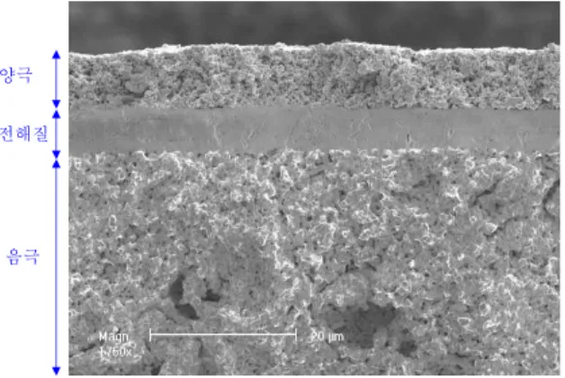 Fig.  1.  The  microstructural  SEM  image  of  the  SC-SOFC  cell  consisting  of  the  porous  anode  (bottom),  cathode  (top),  and  dense  electrolyte  (middle).