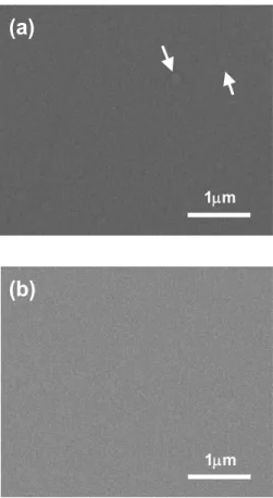 Fig.  1.  Plan-view  SEM  images  of  (a)  30  nm-thick  GeSbTe  and  (b)  24  nm-thick  GeTe  thin  films  annealed  at  100℃.