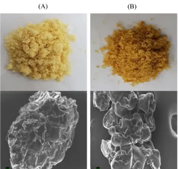 Table 1.  Dietary fibers and free sugars composition profiles of crude or enzyme treated yuzu pulp powder Compound Crude yuzu pulp powder