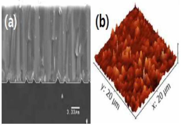 Fig.  1.  AFM  image  of  patterned  sapphire  substrate  structure.
