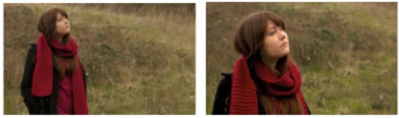 Fig. 1. Examples of Mid Shot and Medium Close Up [7] 