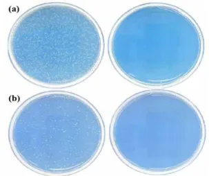 Fig.  5.  EMI  shielding  properties  of  the  AZO  thin  films  deposited  on  glass  substrate  at  various  thickness