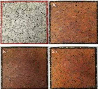 Fig.  1.  Surface  image  of  granite  according  to  the  bias  type; 