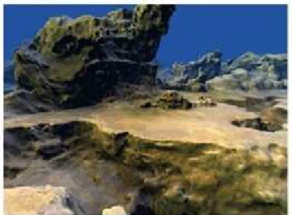 Fig.  8.  Voxel  terrain  in  'Black  Desert'
