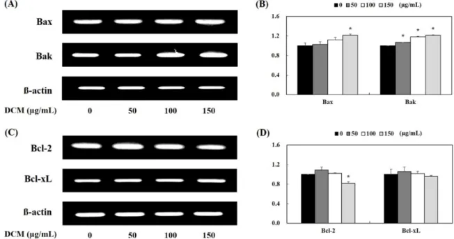 Fig. 5. The effect of  O. japonicus DCM fraction on mRNA level analysis of OVCAR3 cells