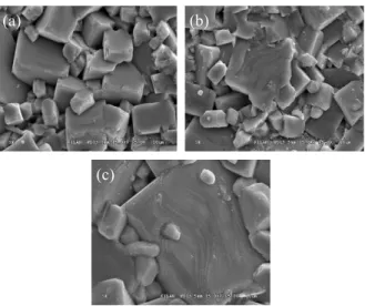 Fig.  1.  The  scanning  electron  microscopy(SEM)  of  specimens  as  a  function  of  the  amount  of  SnO 2   addition