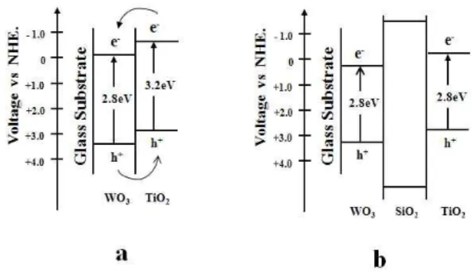 Fig.  5.  Changes  in  water  contact  angles  of  the  films  (A),  (B),  (C),  and  (D)  under  (a)  0.1mW/cm 2   UV  light  irradiation