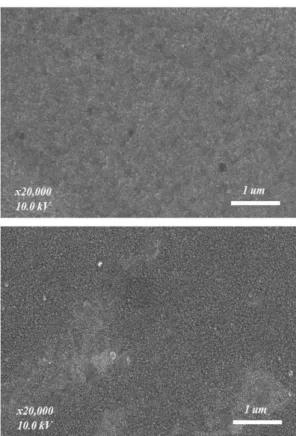 Fig.  1.  FESEM  surface  images  of  ZnO  films  fabricted  at  the  conditions  of  RT  and  300 ℃ substate  temperatures.