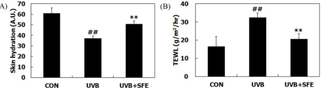 Fig. 5. Effects of SFE on the expression of cornified envelope formation and filaggrin processing-related markers