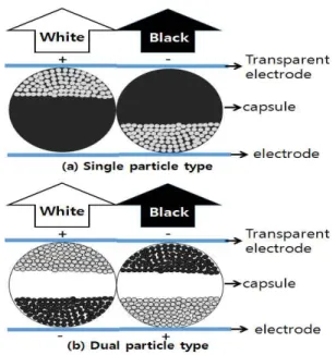 Fig.  1.  Driving  method  of  the  microcapsule-type  display.  (a)    single  particle  type  and  (b)  dual  particle  type.