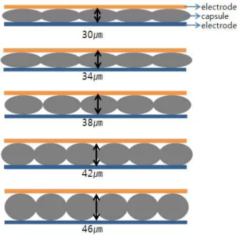 Fig.  2.  A  cross-sectional  view  taken  along  a  cell  gap  of  the  microcapsule  display
