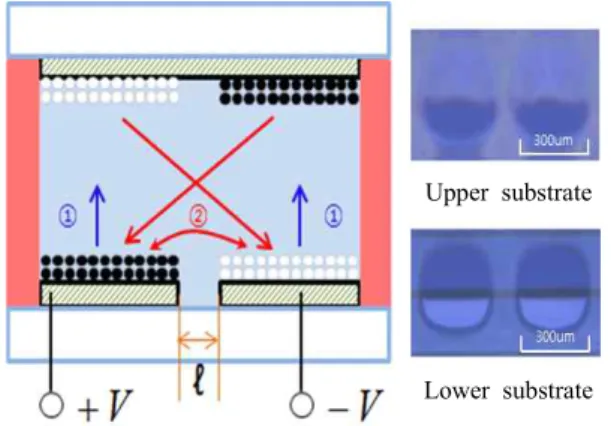 Fig.  3.  Reversal  phenomenon  of  3-electrode  structure.