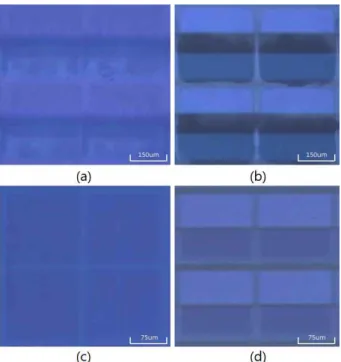 Fig.  7.  Photomicrograph  of  three-electrode  panel.  (a)  upper  substrate  of  wide  electrode  spacing,  (b)  lower  substrate  of  wide  electrode  spacing,  (c)  upper  panel  of  narrow  electrode  spacing,  and  (d)  lower  panel  of  wide  electr