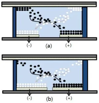 Fig.  8.  Improvement  principle  of  reversal  phenomenon.  (a)  panel  of  wide  electrode  spacing  and  (b)  panel  of  narrow  electrode  spacing