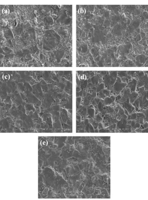 Fig.  2.  The  scanning  electron  microscopy(SEM)  of  specimens  as  a  function  of  CuO  addition  ((a)  x=0.006,  (b)  x=0.007,  (c)  x=0.008,  (d)  x=0.009,  and  (e)  x=0.010)