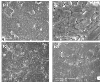 Fig.  3. Unit  cell  volume  of  La9.33  La  (Si    V  )O 