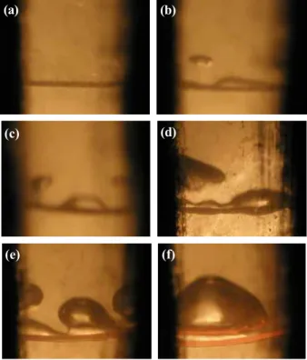 Fig.  4.  Shape  of  thermal  bubbles  in  65  K  LN2.  (a)  10  A,  (b)  11  A,  (c)  12  A,  (d)  13  A,  (e)  14  A,  and  (f)  15  A