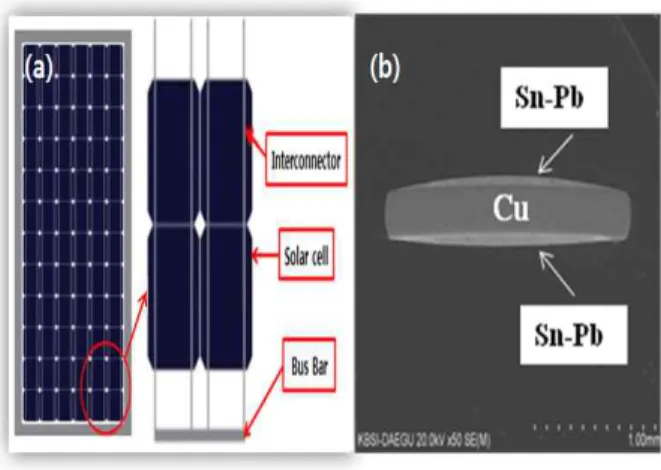 Fig.  1.  Schematic  diagaram  of  (a)  solar  sell  and  (b)  ribbon  in  solar  module