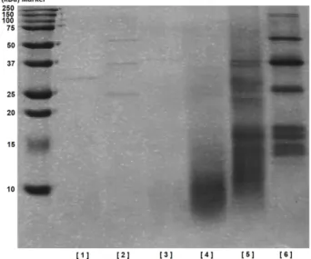 Fig. 2. Degree of hydrolysis of  Gryllus bimaculatus by five different proteases at 55 o C