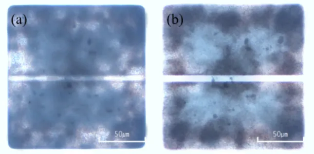 Fig. 6. Particle clumping phenomena taken by a transmission  optical microscope for (a) white particles and (b) black  particles.