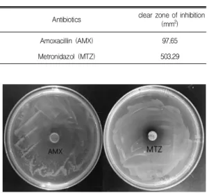 Table  2.  Antibacterial  effect  of  Antibiotics  as  clear  zone  of  inhibition  (mm 2 )  against  H